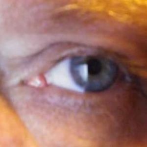 Meet your Posher, Terry